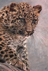 Young Explorer by Valerie Simms - Original Drawing on Mounted Paper sized 16x24 inches. Available from Whitewall Galleries